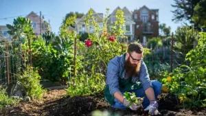 Business Ideas in Competitive Market