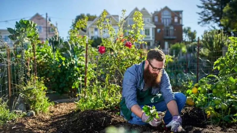 Business Ideas in Competitive Market