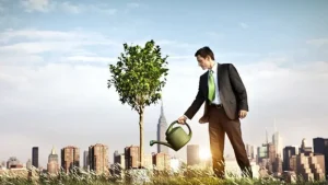 Sustainable Business Ideas