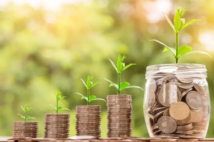 How to Invest with Small Capital